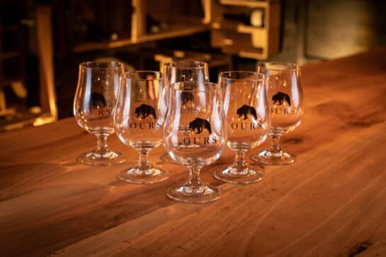 Verre bières Ours